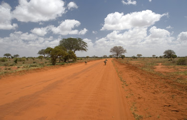 Fototapeta na wymiar Tsavo East National Park