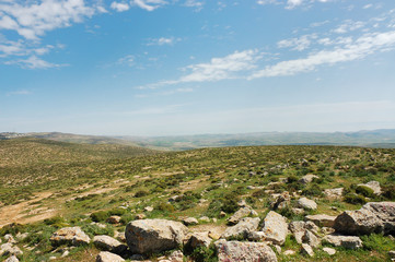 Fototapeta na wymiar Spring view of green fields and hills in Samaria, Israel.