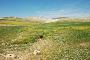 Spring view of green fields and hills in Samaria, Israel.