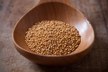 mustard in a wooden spoon