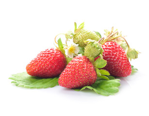 Strawberries isolated