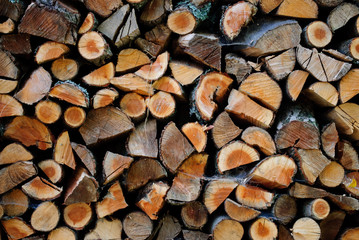 Firewood