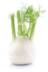 Fenchel