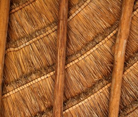 palapa tropical Mexico wood cabin roof detail