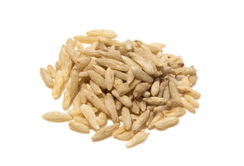 Dwarf Lilyturf Tuber