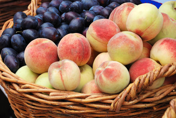 peach and plum crop in a basket