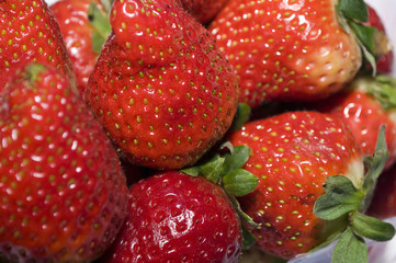 frische Erdbeeren