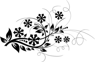 Floral elements for design, vector