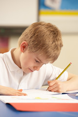 Schoolboy Studying In Classroom
