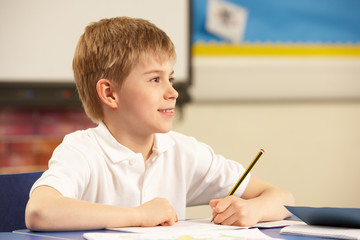 Schoolboy Studying In Classroom