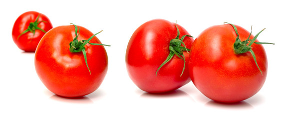Juicy fresh tomatoes