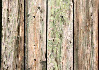 The brown wood texture