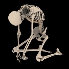 skeleton9