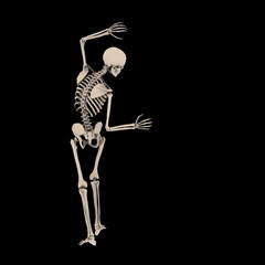 skeleton7