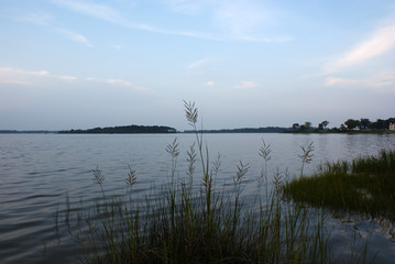 Coastal Grass