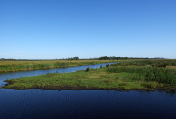 Marshland