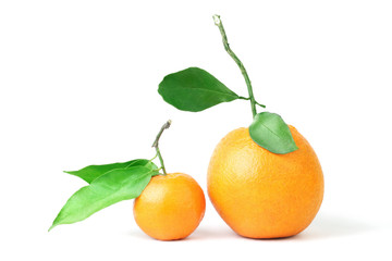 Mandarin and grapefruit.