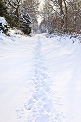 Fußspuren im Schnee