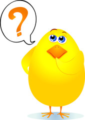 Chick asks questions