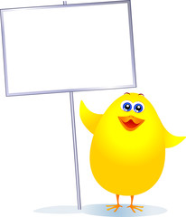 Pulcino con cartello bianco - Chick with blank sign