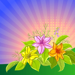 Flower background, lily and sun