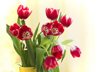bunch of red tulips