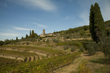 Chianti, paesaggio collinare e vigneti