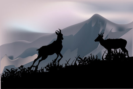 goats in mountains illustration