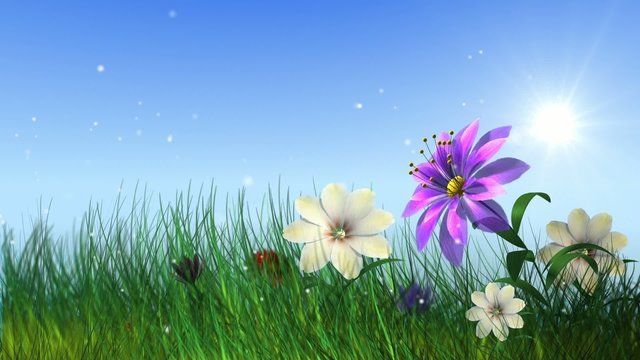 flying ladybird with growing flowers and grass