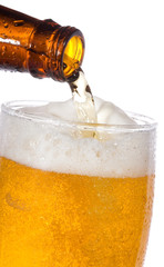 beer
