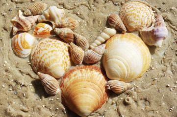 Heart shape: Symbols for love and romance.