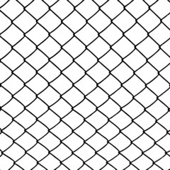 Fototapeta premium wired fence