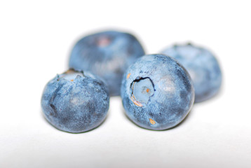 grosse heidelbeeren