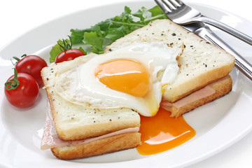 croque madame , french ham and cheese sandwich with fried egg