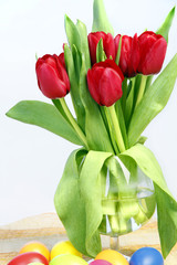 Tulpen