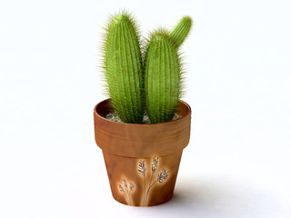 Isolated Cactus in a Pot, 3D