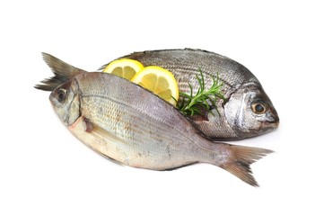 Rosmarin, Fisch