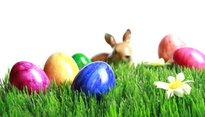 Fototapeta na wymiar Green grass with Easter eggs and bunny