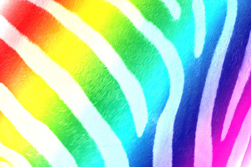 Buntes Zebramuster