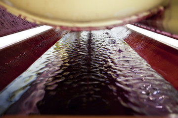 Inside a wine press free run juice from crushed red grapes