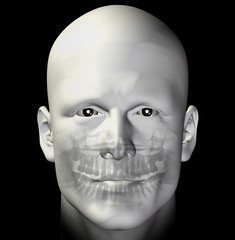 adult male dental scan 3d illustration