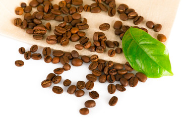 Coffee beans and green leaf of coffee plant on linen canvas