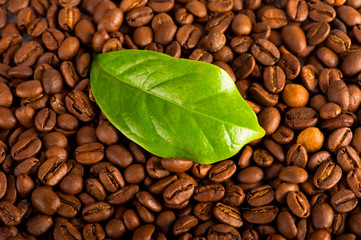 Macro of coffee beans and green leaf of coffee plant