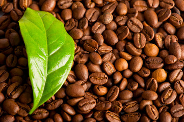 Macro of coffee beans and green leaf of coffee plant