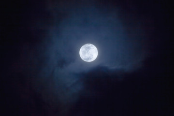 Naklejka na ściany i meble blue_moon_05