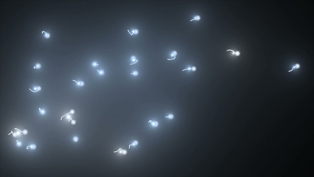 Sperm Cells Zellen Sperma Leuchten