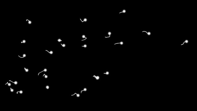 Sperm Cells Zellen Sperma Leuchten Bacterial