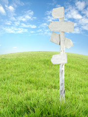 wooden signpost with grass and blue sky