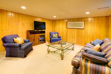Basement family room with blue sofas
