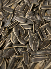sunflower seeds